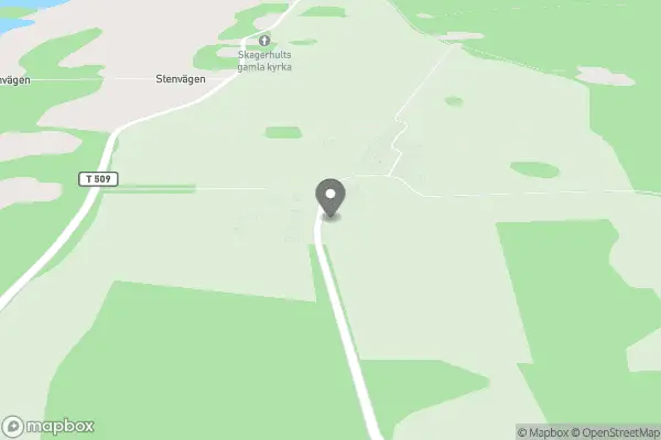 Loppisen i Träntorp - Hasselfors