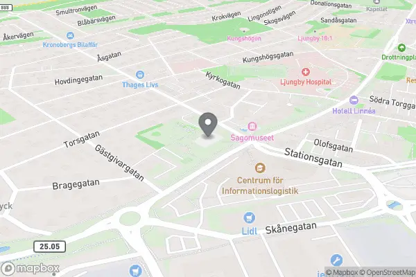 Loppmarknad på Gamla Torg - Ljungby karta
