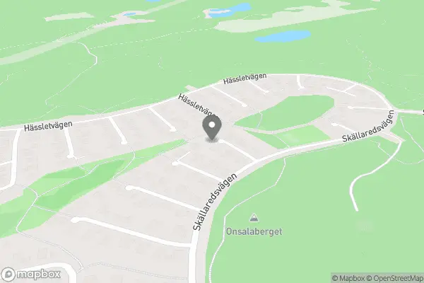 Skinnkläder vintage i hemmiljö - Onsala