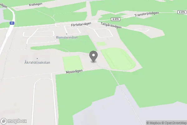 Södra Sveriges Största Bakluckeloppis - Nybro
