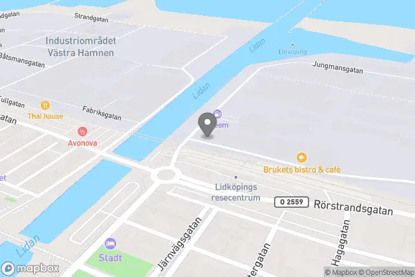 Ung I Lidköping - Lidköping